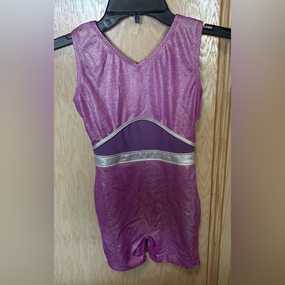 More Than‎ Magic Sparkling Purple Leotard